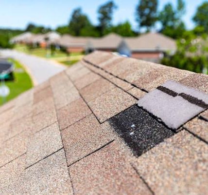 Protective Roof Sealing Services